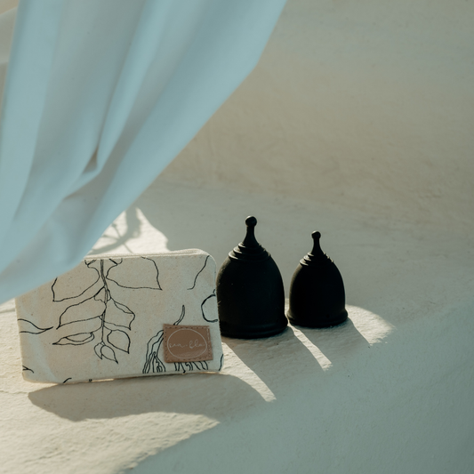 A & B Flo Menstrual Cup Bundle